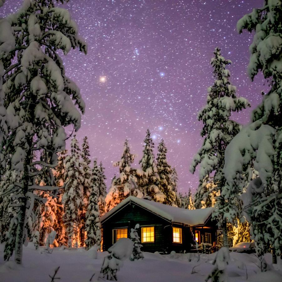 Tunturilapin Tuvat Villa มัวนิโอ ภายนอก รูปภาพ